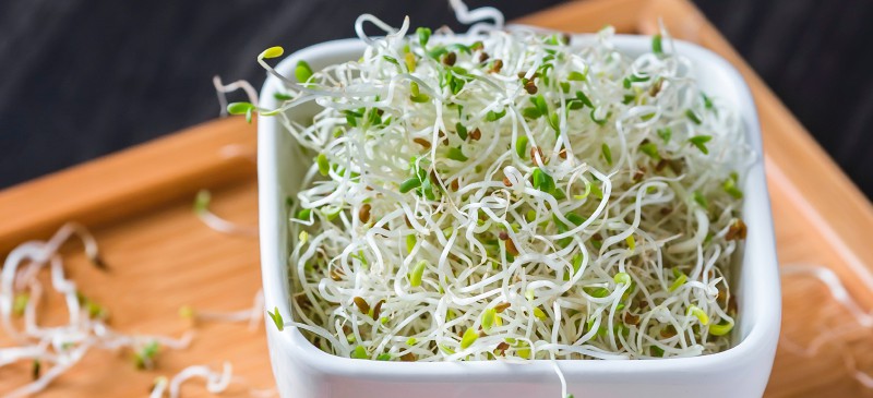 Alfalfa sprouts - Dr. Axe