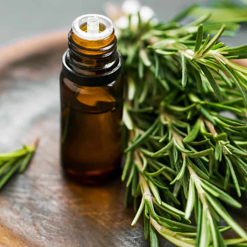 Rosemary oil - Dr. Axe