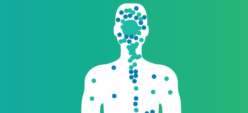 Endocannabinoid system - Dr. Axe