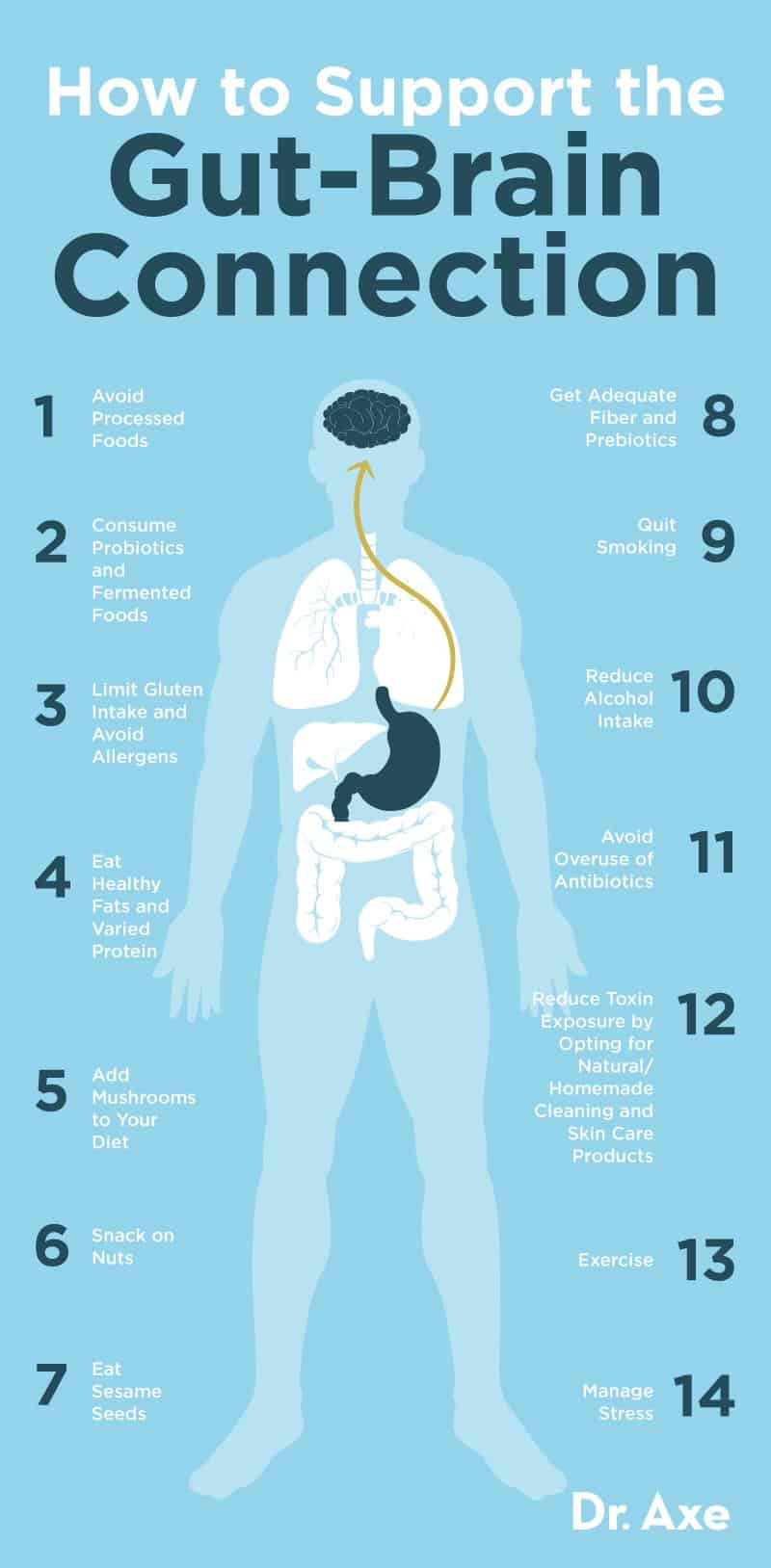 How to support the gut-brain connection - Dr. Axe