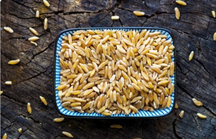 Organic Kamut grain on wooden background