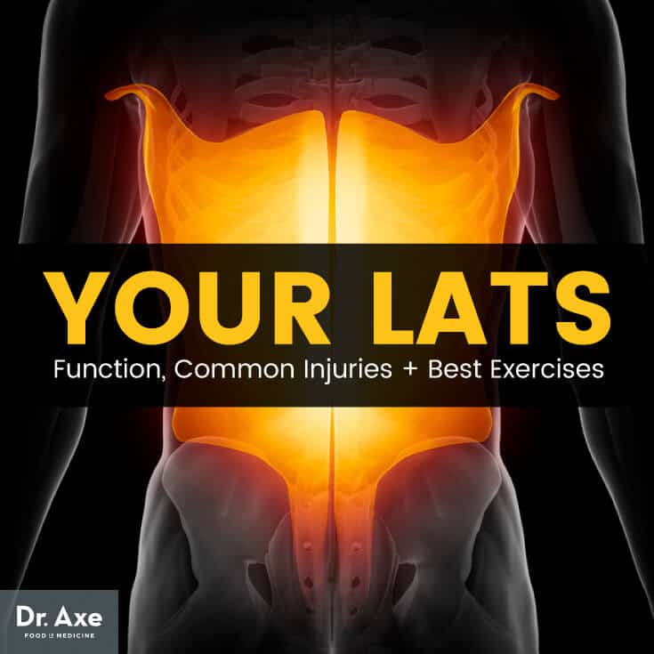 Latissimus dorsi - Dr. Axe