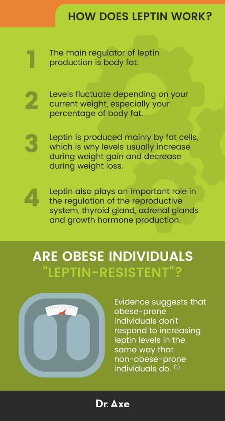 Leptin - Dr. Axe