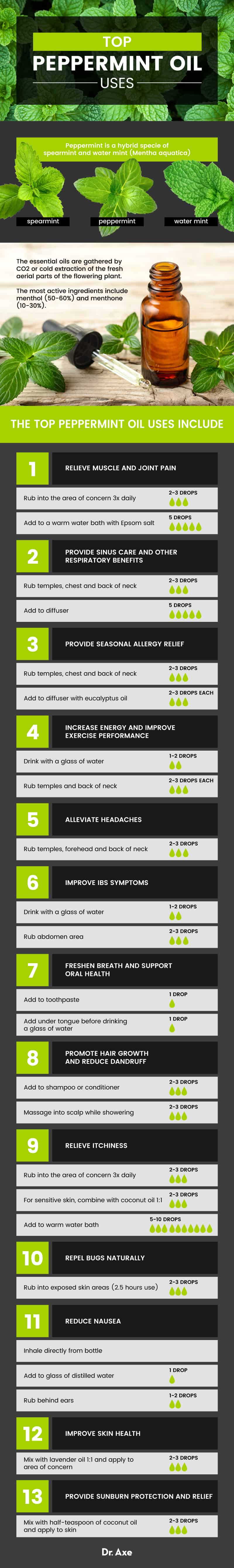 Peppermint oil uses - Dr. Axe