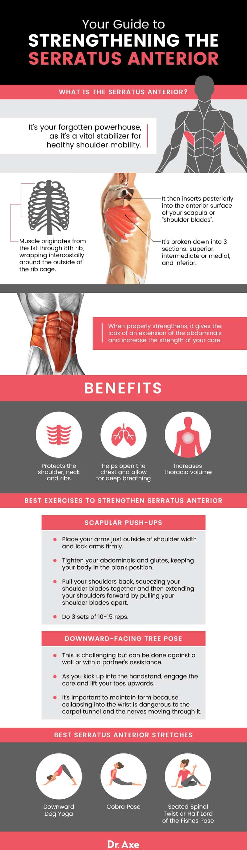 Serratus anterior exercises - Dr. Axe