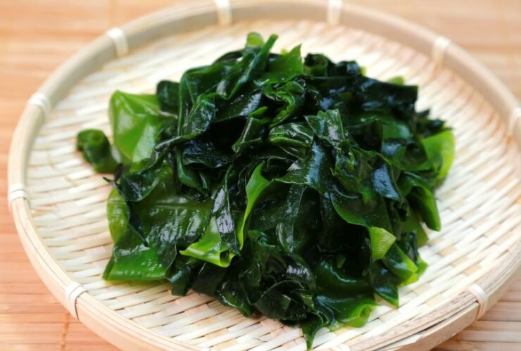 fresh wakame seaweed on a plate