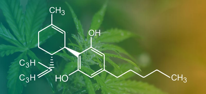 What is CBD (cannabidiol)?- Dr. Axe