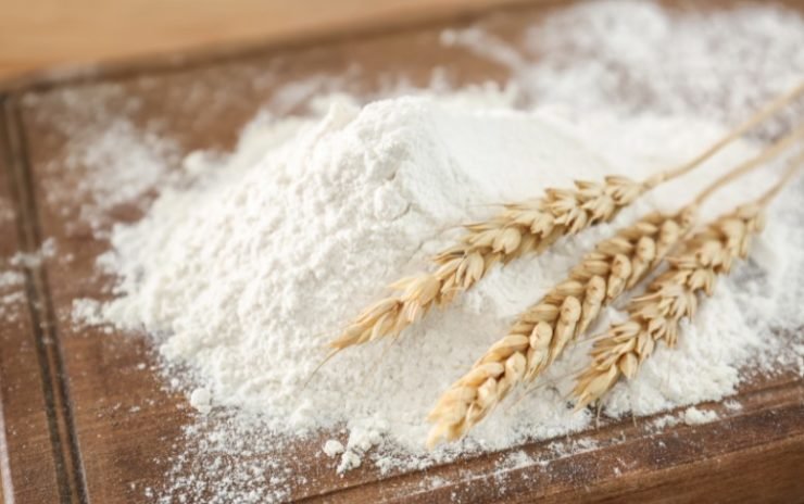 Wheat Plants on a Wheat Flour