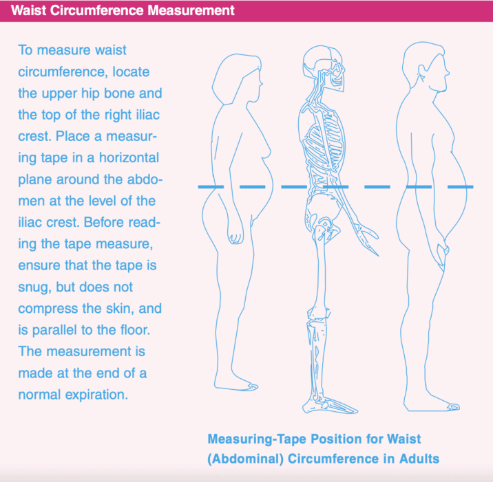 Body composition - Dr. Axe